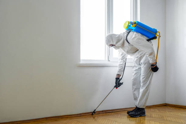 Best Pest Exclusion Services  in Rainsville, AL